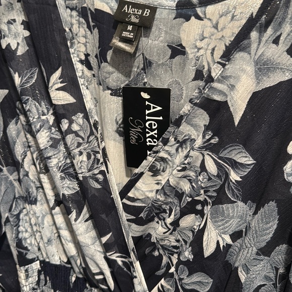 Alexa B Nites Blue Floral Sheer Long Sleeve Long Maxi Dress Size 14 NWT - Picture 2 of 7